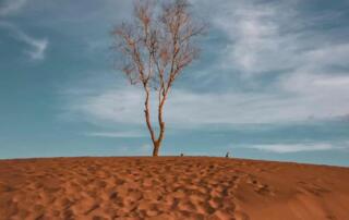 Gumuk Pasir Parangkusumo Yogyakarta