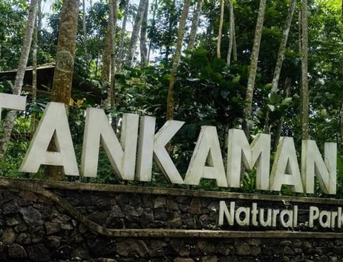 Tankaman Natural Park: Destinasi Wisata Alam di Lereng Gunung Merapi
