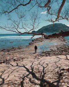 Tepi Pantai Wediombo