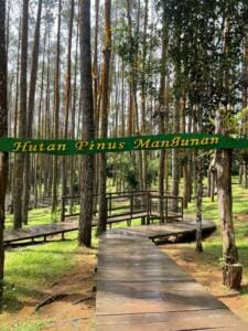 Hutan Pinus Mangunan