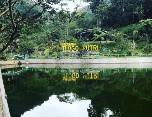 Tlogo Putri Kaliurang: Wisata Alam Sejuk di Lereng Merapi