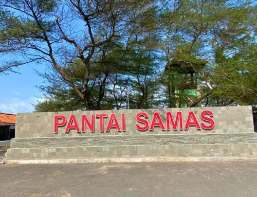 Pantai Samas Yogyakarta: Destinasi Wisata Alam dengan Pesona Laguna dan Taman Bunga Matahari