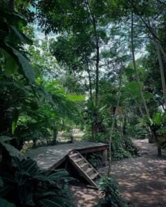 Salah satu area di Tankaman Natural Park