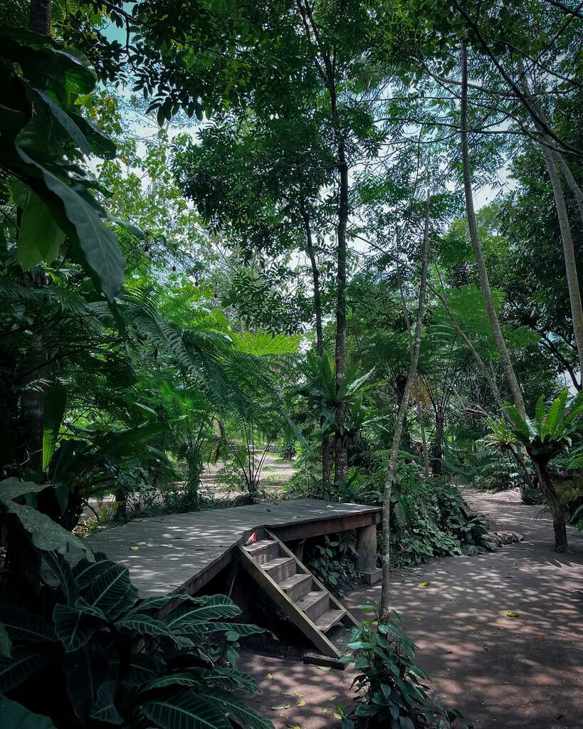 Sumber/Kredit: @faahmi.j Sumber/Kredit: @faahmi.j