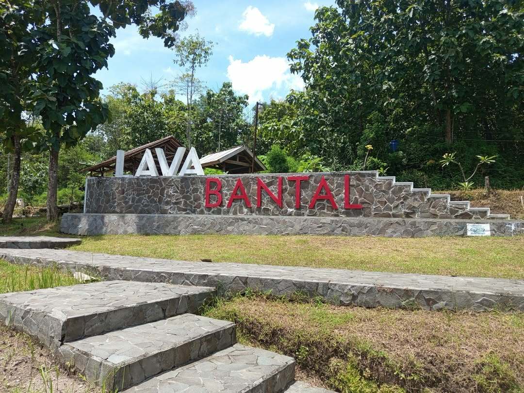 Lava Bantal Lava Bantal