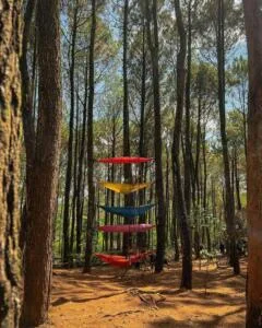 Spot bersantai di antara pepohonan