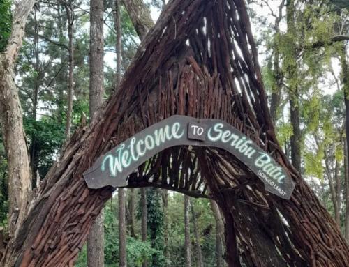 Seribu Batu Songgo Langit Yogyakarta: Destinasi Wisata Alam dengan Panorama Hutan Pinus