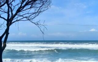 Pantai Pandansari Yogyakarta