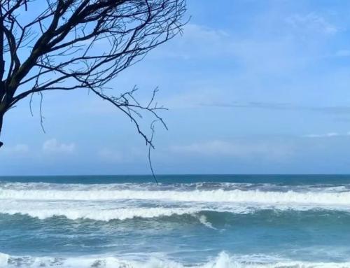 Pantai Pandansari Yogyakarta: Pesona Mercusuar dan Kebun Buah Naga di Pesisir Selatan