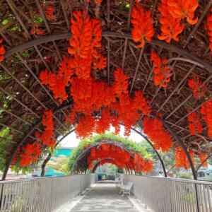 Instalasi taman vertikal