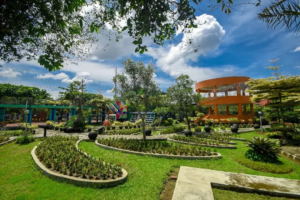 Kebun Bibit Senopati yang hijau dan sejuk