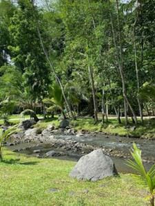 Suasana sejuk Ledok Sambi Ecopark Suasana sejuk Ledok Sambi Ecopark