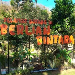 Pepohonan hijau yang rimbun