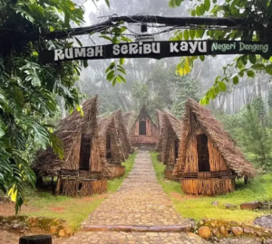 Rumah Seribu Kayu