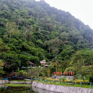 Suasana wisata Tlogo Putri yang sejuk Suasana wisata Tlogo Putri yang sejuk