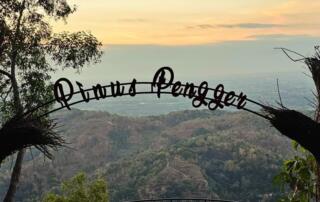 Hutan Pinus Pengger Yogyakarta