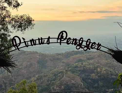 Hutan Pinus Pengger Yogyakarta: Surga Tersembunyi untuk Pecinta Alam dan Fotografi