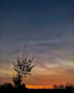 Lanskap keindahan saat sore hari