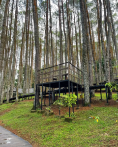 Deck kayu untuk menikmati pemandangan