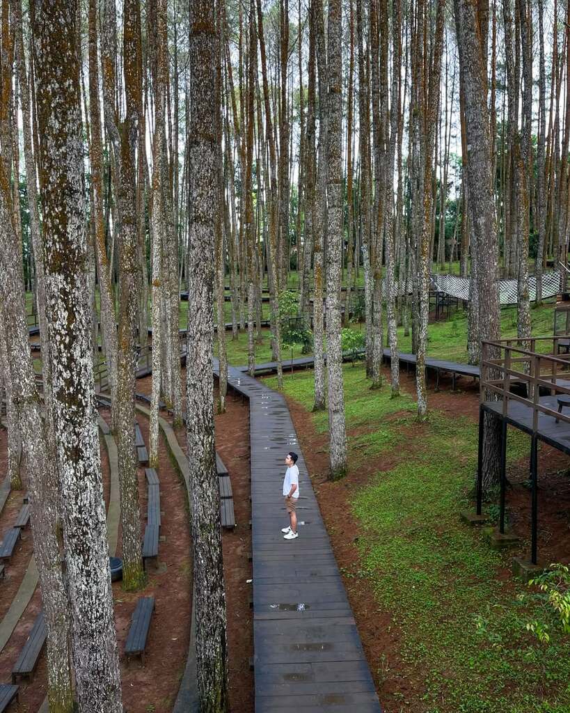 Sumber/Kredit: @ormy_abiga