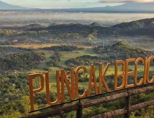 Puncak Becici Yogyakarta: Destinasi Hutan Pinus dengan Panorama Menakjubkan