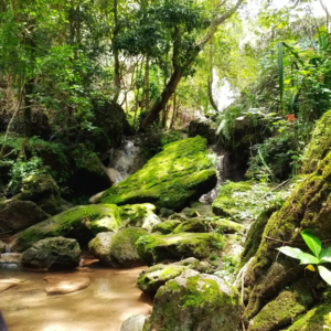 Alam sekitar Goa Selarong yang sejuk