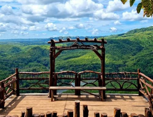 Bukit Panguk Kediwung Yogyakarta: Destinasi Wisata Alam dengan Panorama Laut Awan