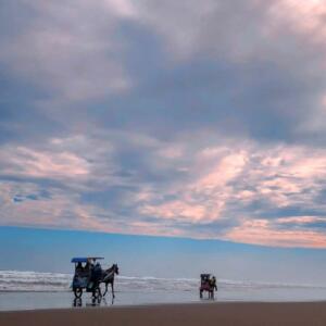 Pengunjung menikmati suasana sore di tepi pantai dengan naik andong