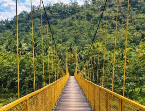 Jembatan Gantung Selopamioro Yogyakarta: Destinasi Ikonik Pedesaan