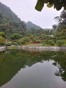 Area tepi danau Area tepi danau