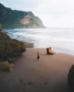 Keindahan Pantai Parangendog