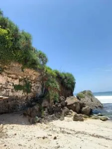 Formasi batuan karang di tepi pantai