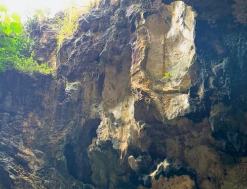 Goa Pindul Yogyakarta: Destinasi Cave Tubing Ikonik di Gunungkidul