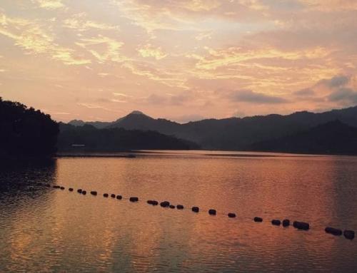 Waduk Sermo Yogyakarta: Destinasi Wisata Alam di Kulon Progo Yogyakarta