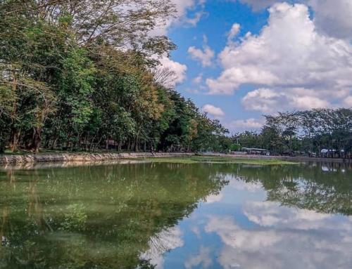 Telaga Jonge Yogyakarta: Destinasi Wisata Tenang di Jantung Gunungkidul