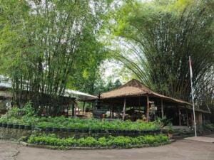 Suasana sejun dan asri di Gerbang Banyu Langit