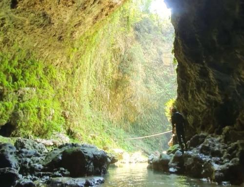Kalisuci Cave Tubing Yogyakarta: Pengalaman Petualangan Sungai Bawah Tanah di Gunungkidul
