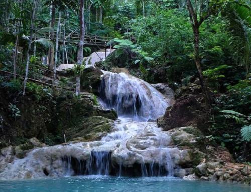 Ekowisata Sungai Mudal Yogyakarta: Destinasi Air Jernih di Jantung Perbukitan Menoreh