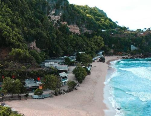 Pantai Pok Tunggal Yogyakarta: Surga Tersembunyi di Gunung Kidul dengan Pohon Duras Ikonik