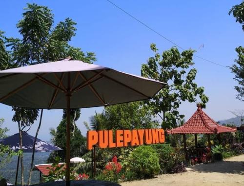 Bukit Wisata Pulepayung Yogyakarta: Destinasi Spot Foto dengan Pemandangan Waduk Sermo dari Ketinggian