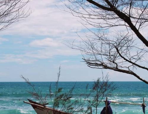 Pantai Bugel Yogyakarta: Destinasi Pantai Tenang di Kulon Progo dengan Pemandangan Sunset Memukau