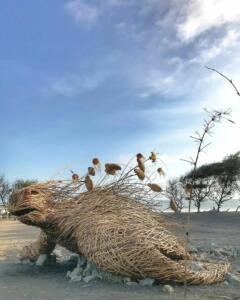 Pantai Trisik
