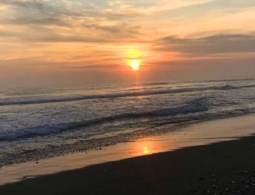 Pantai Trisik Yogyakarta: Destinasi Wisata Alam dengan Pesona Nelayan Tradisional di Kulon Progo