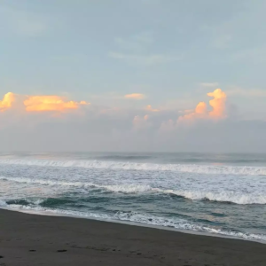 Keindahan Pantai Congot