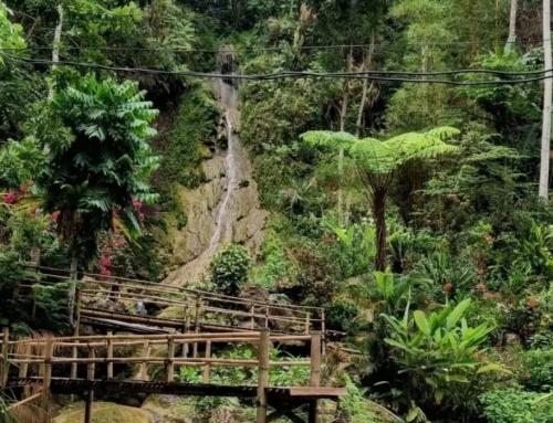 Air Terjun Kembang Soka: Destinasi Tersembunyi dengan Pesona Air Biru Kehijauan di Kulon Progo
