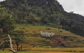 Desa Wisata Srikeminut Sriharjo