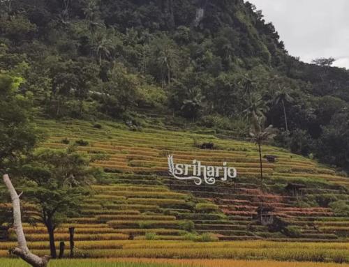 Srikeminut Sriharjo Yogyakarta: Destinasi Wisata Alam Tersembunyi di Perbukitan Bantul