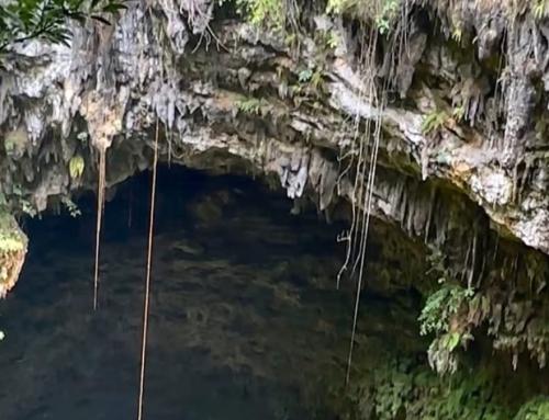 Goa Jomblang Yogyakarta: Fenomena Cahaya Surga di Perut Bumi Gunungkidul