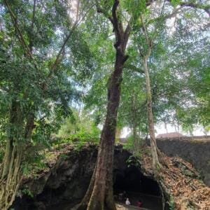 Gua alami di kawasan hutan