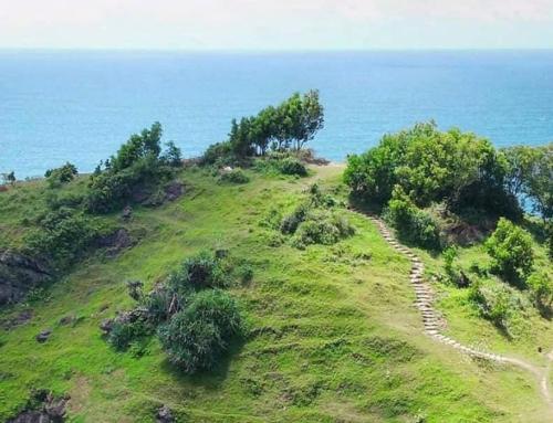 Bukit Pengilon Yogyakarta: Panorama Pantai Selatan dari Ketinggian Gunung Kidul